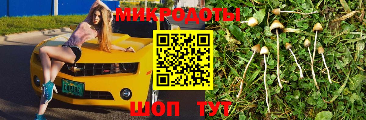 Галлюциногенные грибы Cubensis  Псилоцибиновые грибы ЛСД  Вход с VPN  Междуреченск 